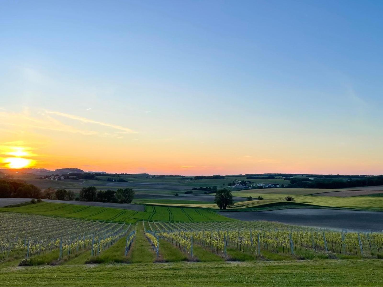 Paradis Des Vignes Birac  Szoba fotó