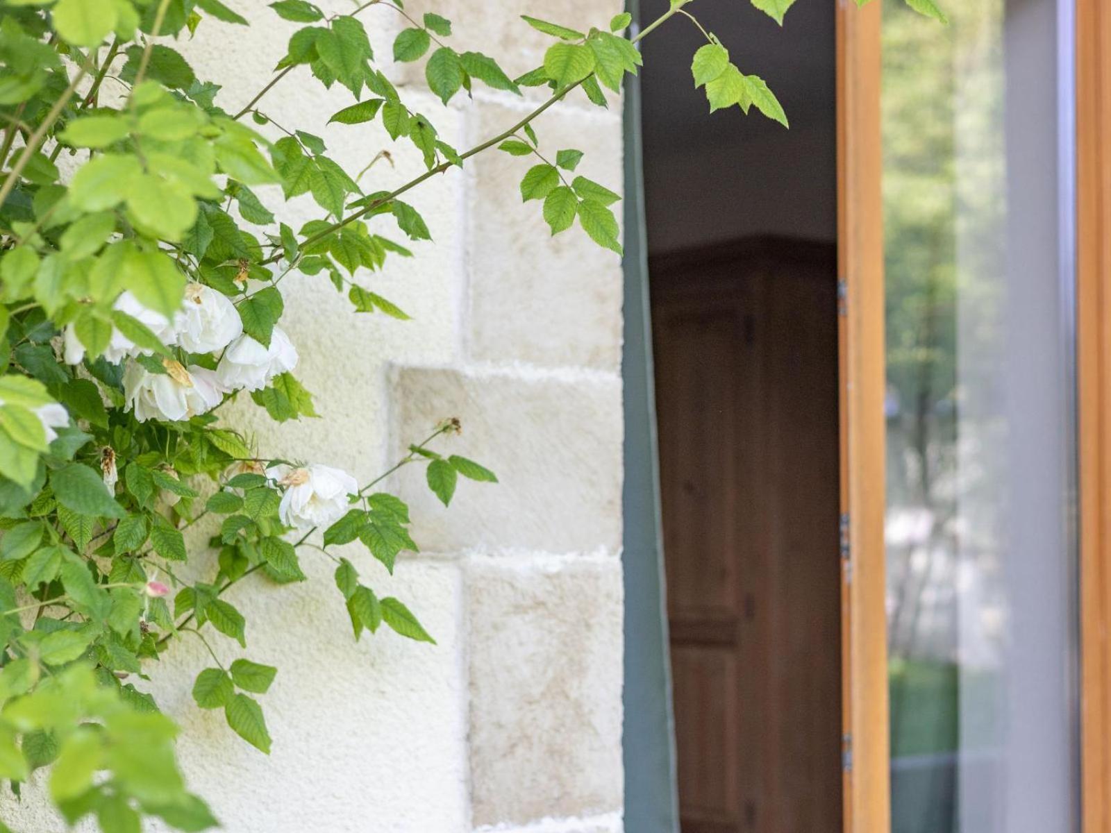 Paradis Des Vignes Birac  Kültér fotó
