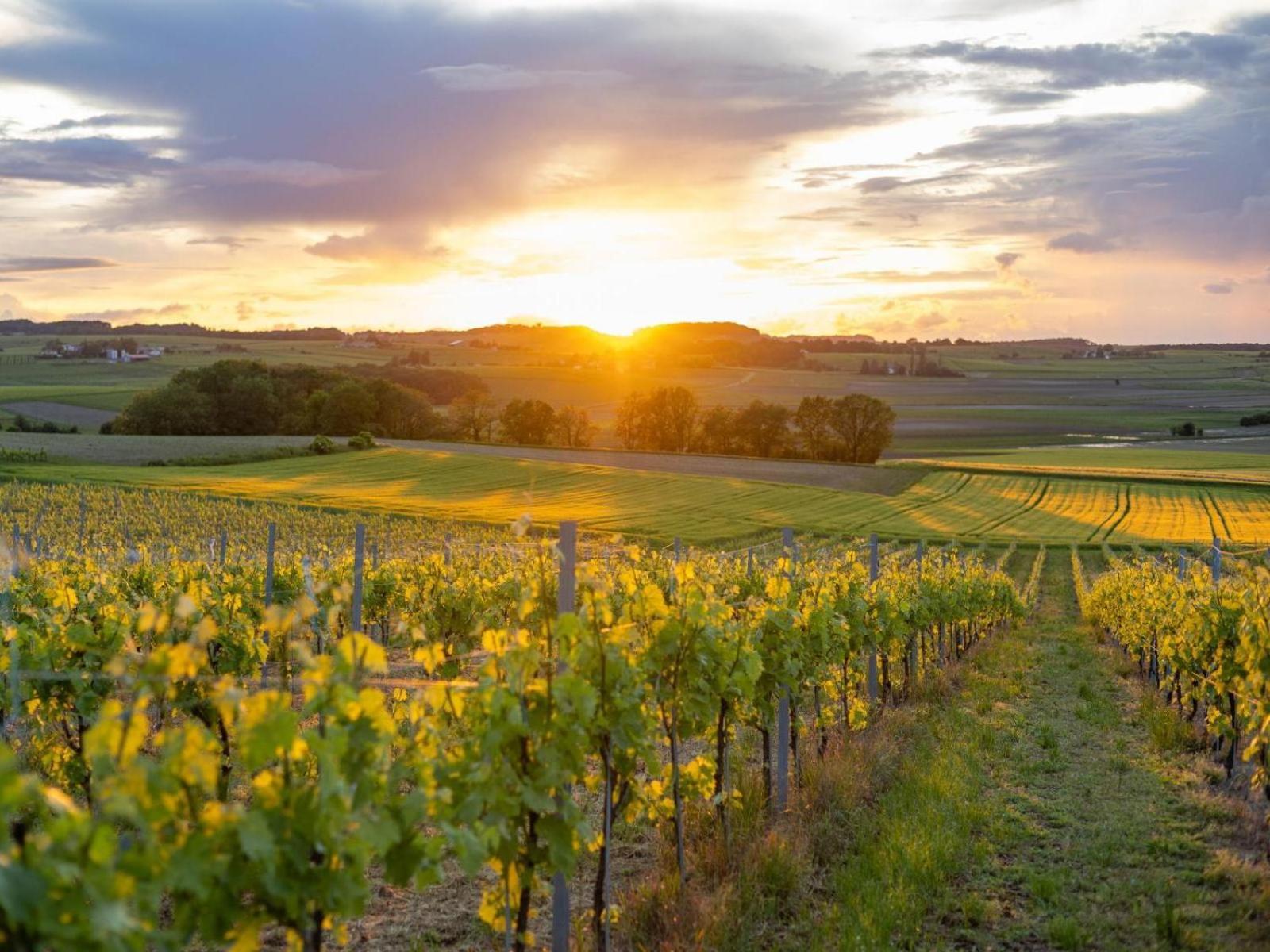 Paradis Des Vignes Birac  Szoba fotó