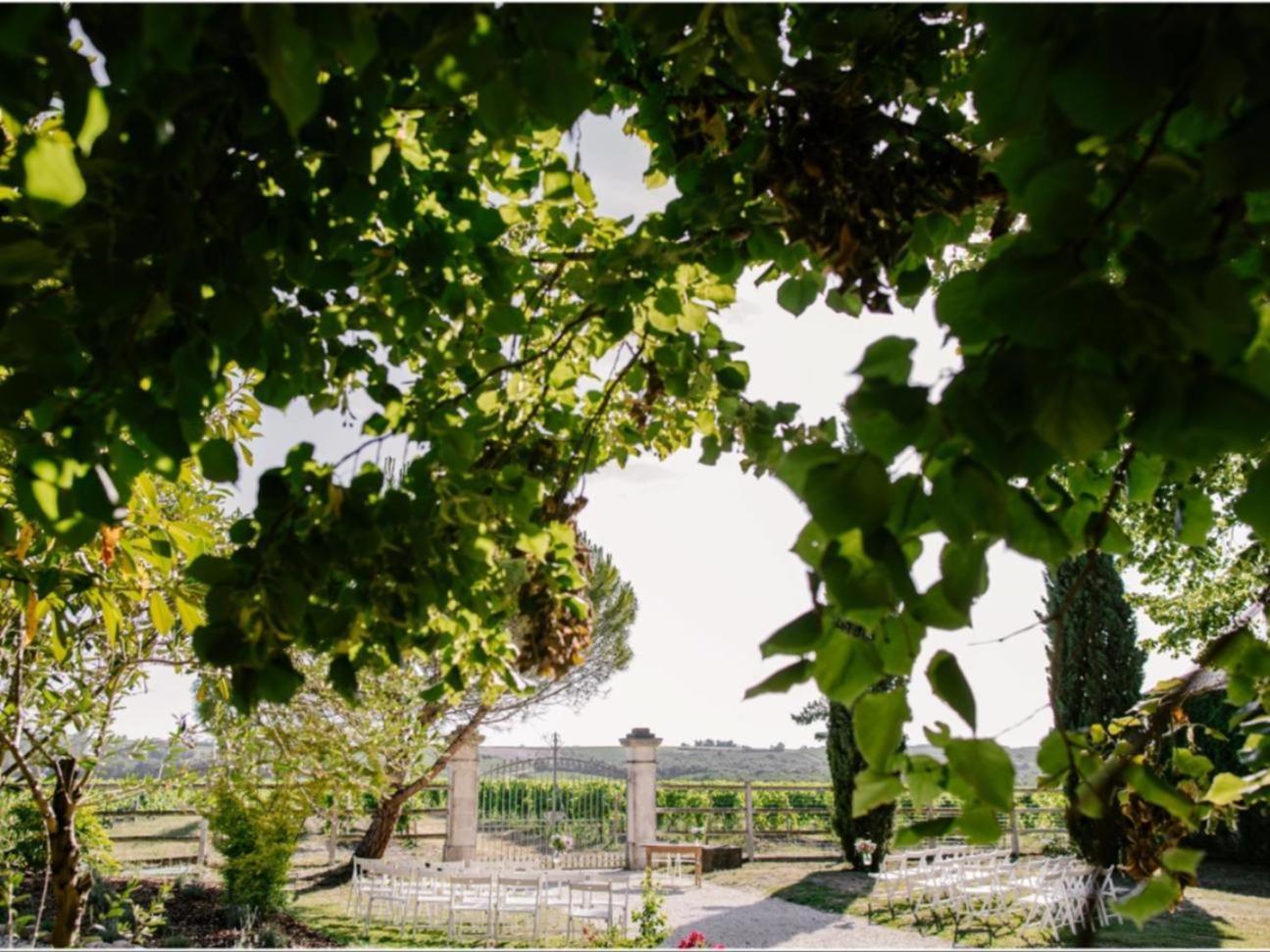 Paradis Des Vignes Birac  Kültér fotó